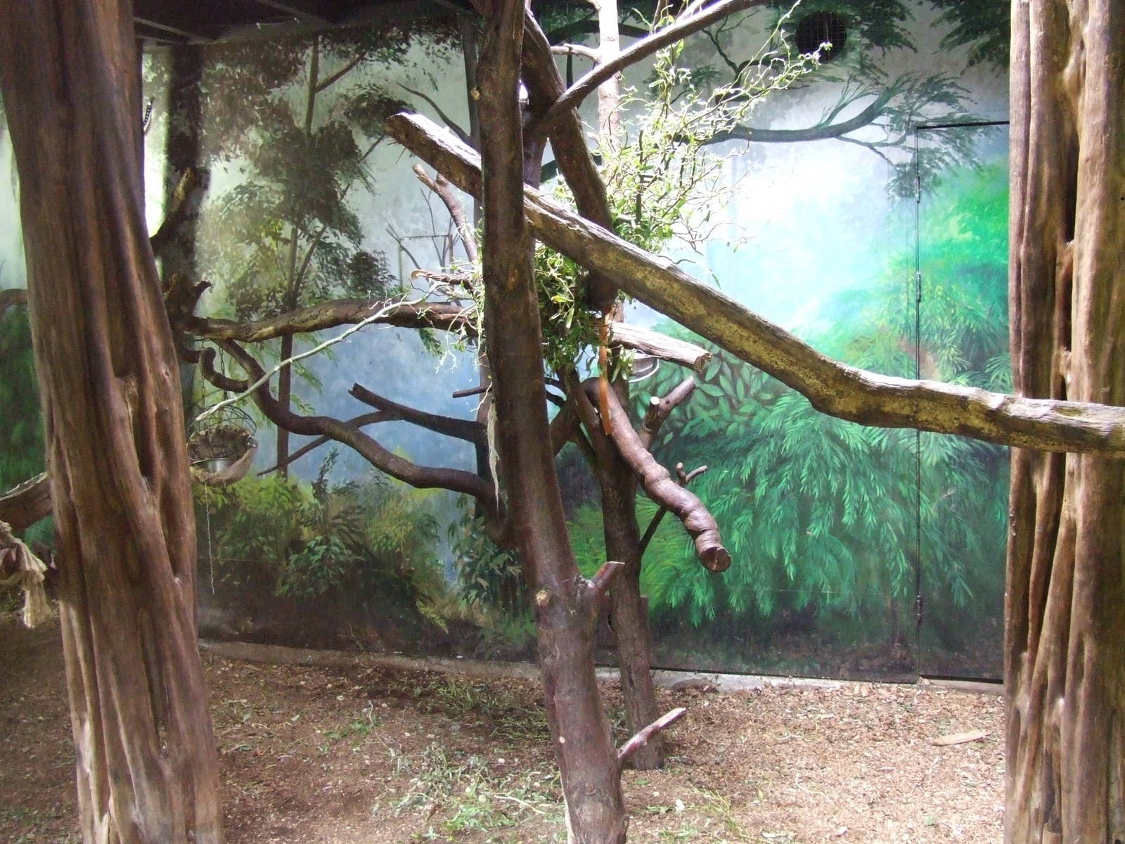 Francois Langur indoor enclosure