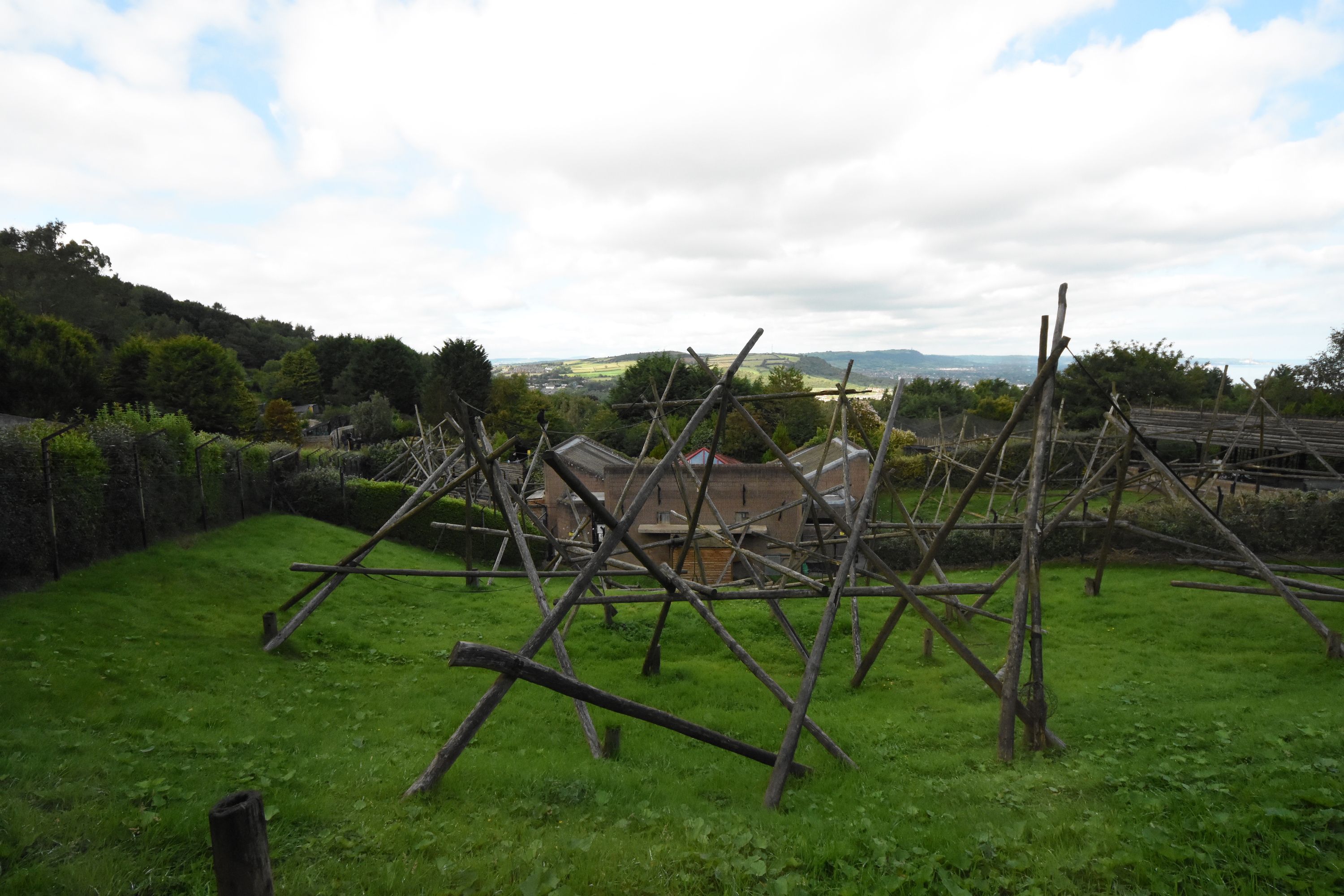 Francois langur outdoors