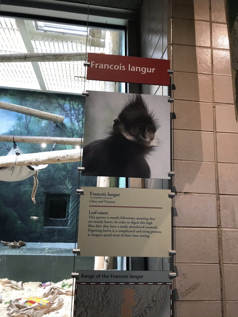 Francois langur sign
