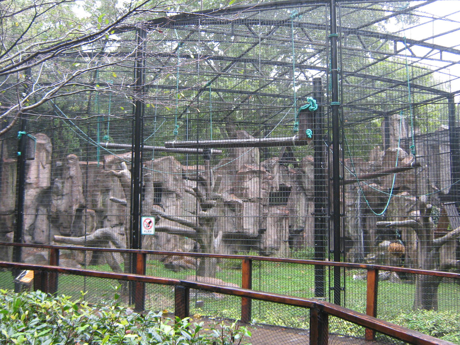 Francois langur (Trachypithecus francoisi) enclosure