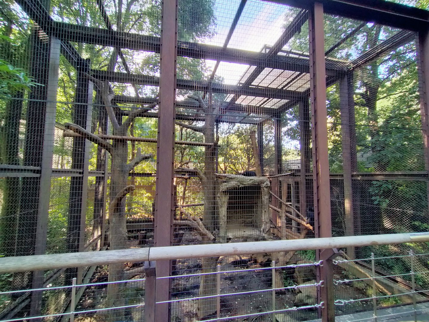 Francois's langue exhibit