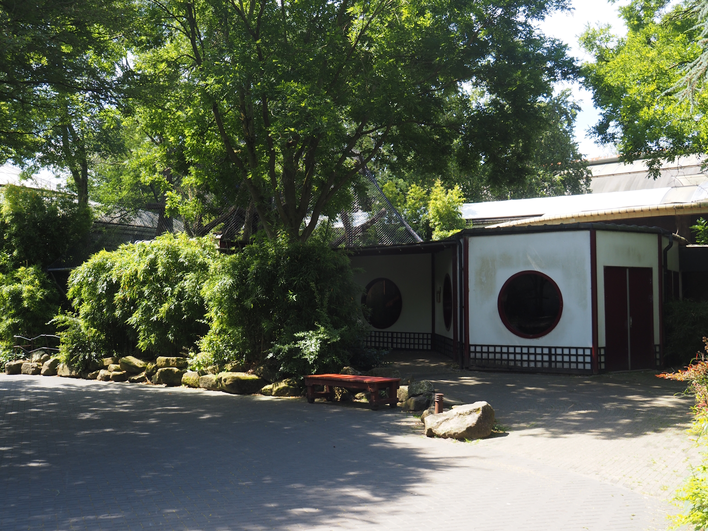 François's langur exhibit and house, 2024-06-30
