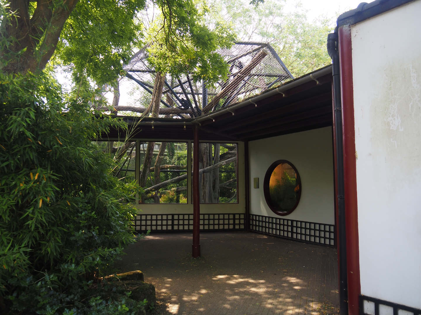 François's langur exhibit and house viewing areas, 2024-06-30