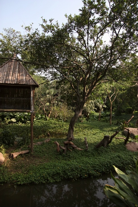 Francois's langur exhibit