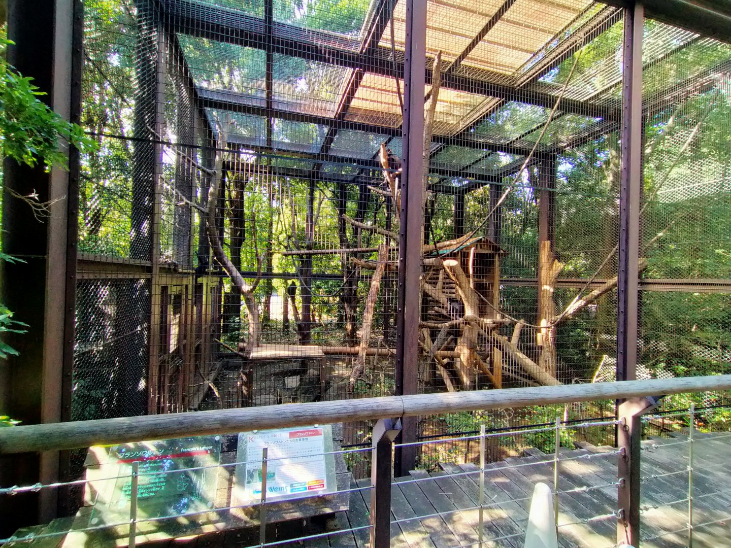 Francois's langur exhibit