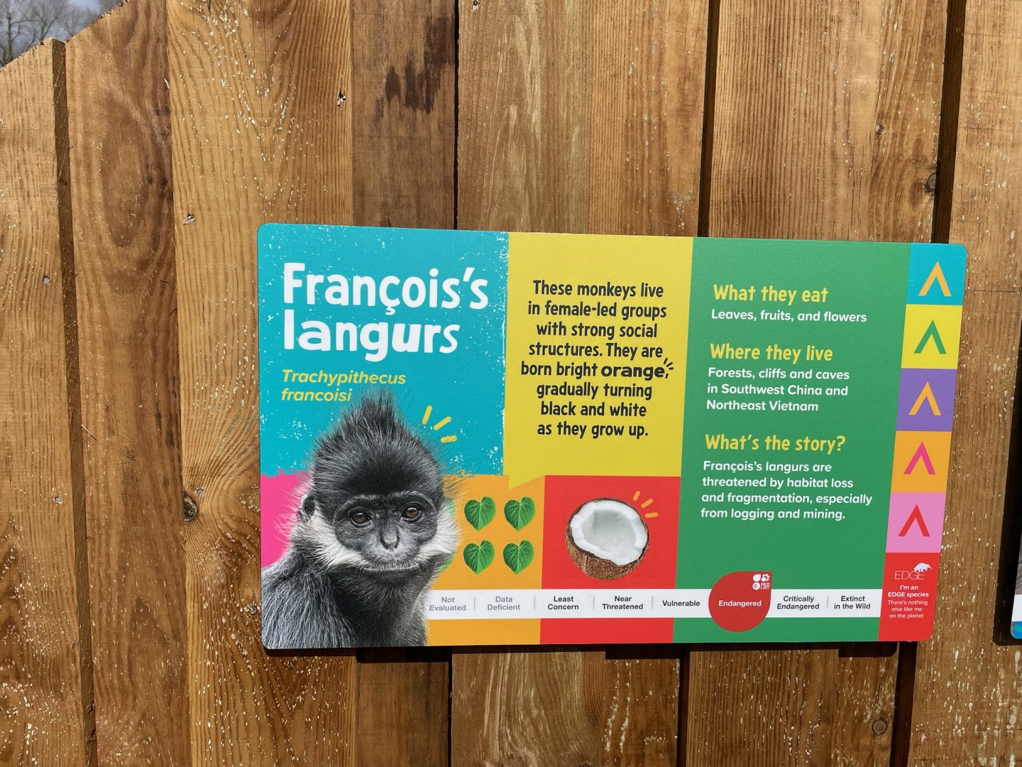 François’s Langur Signage, Monkey Forest