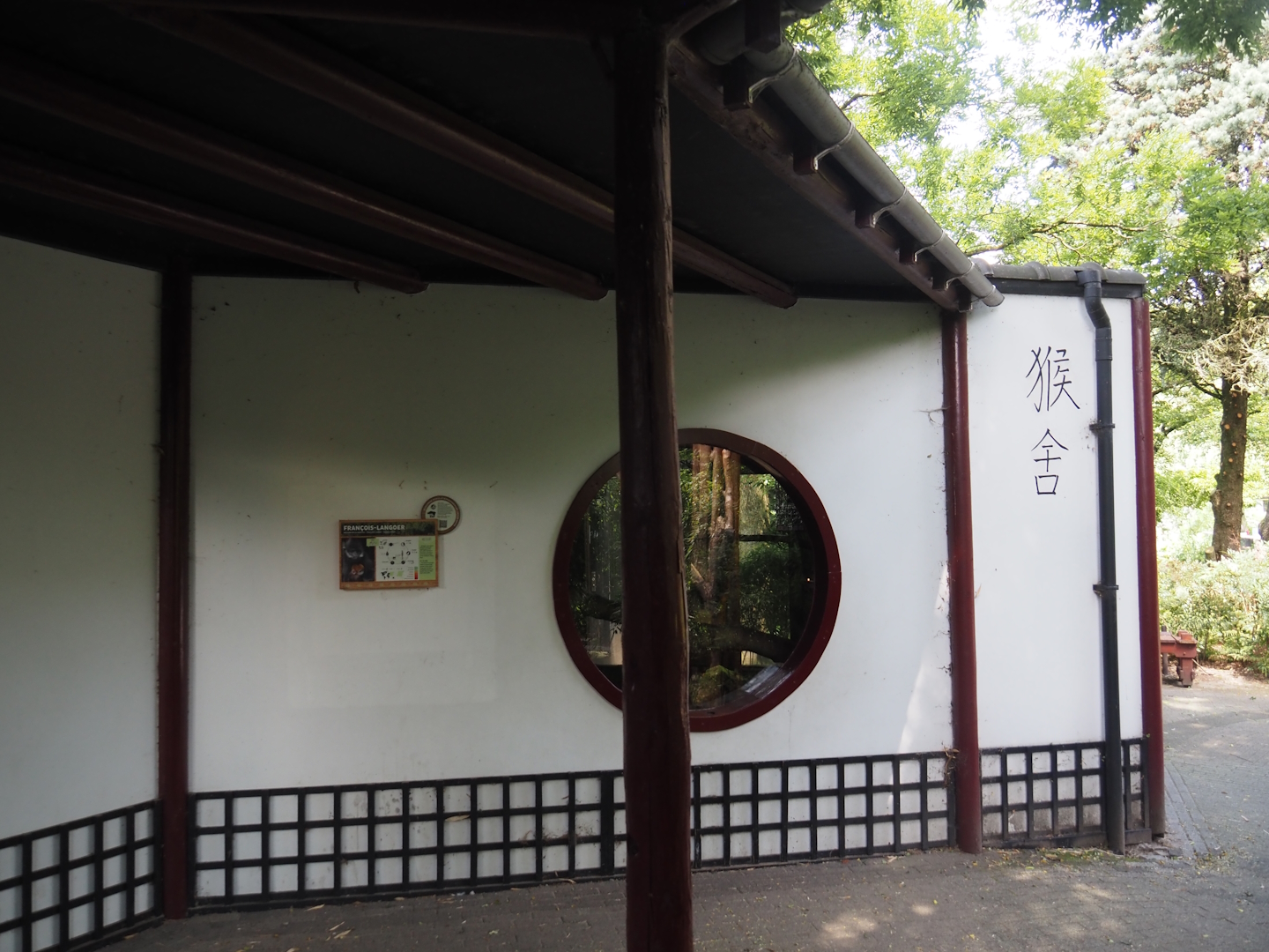François's langur viewing window, 2024-06-30