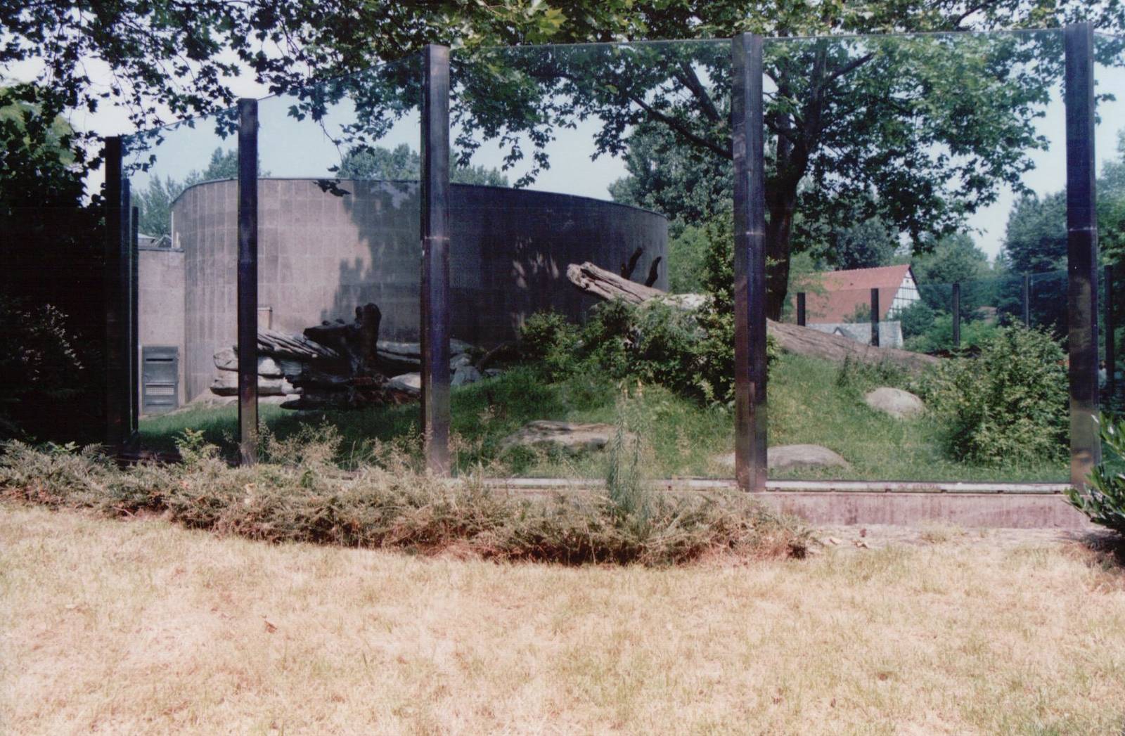 Frankfurt Zoo 1999 - Front of the Gorilla outdoor exhibit