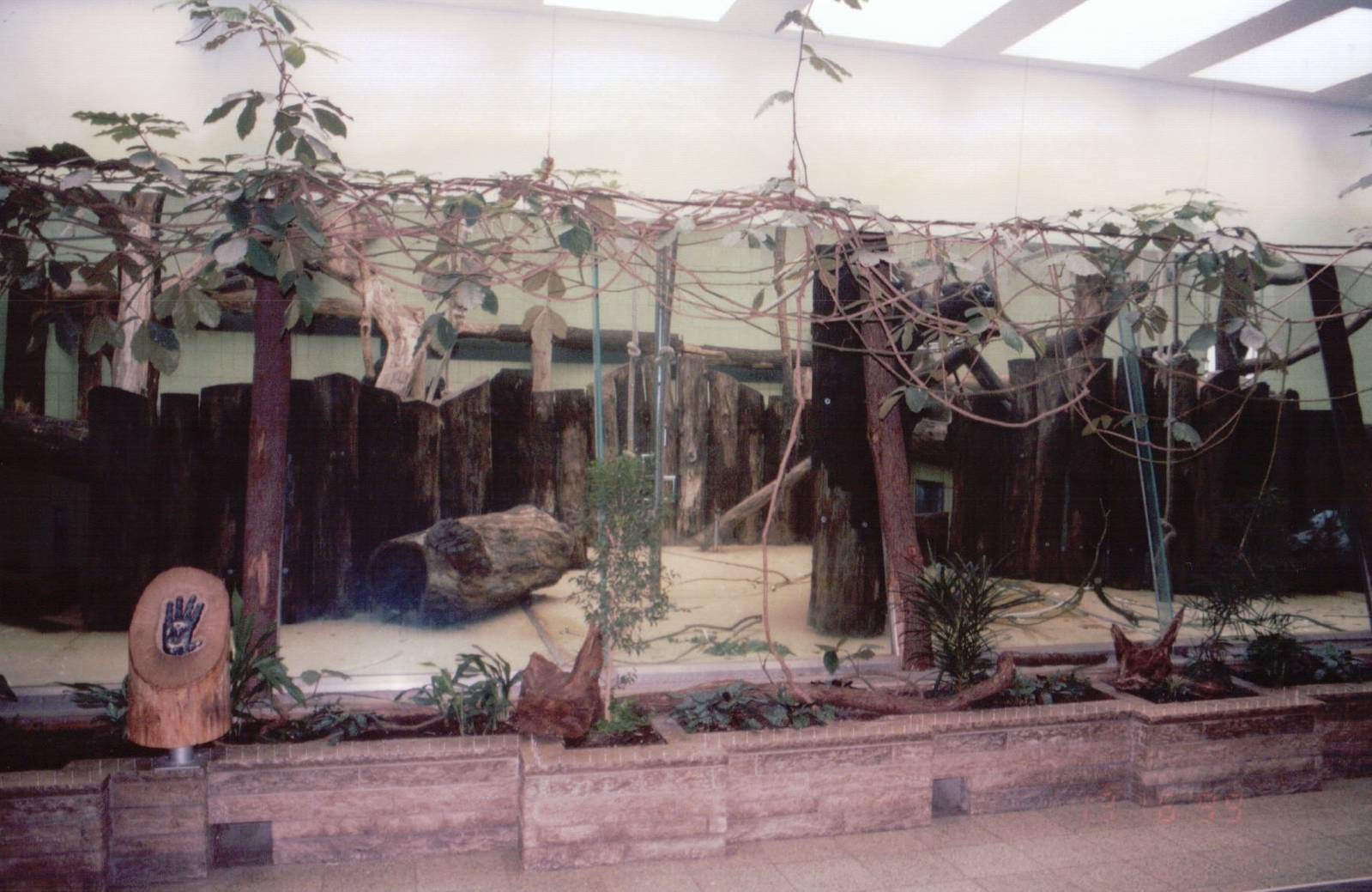 Frankfurt Zoo 1999 - Indoor Ape exhibit