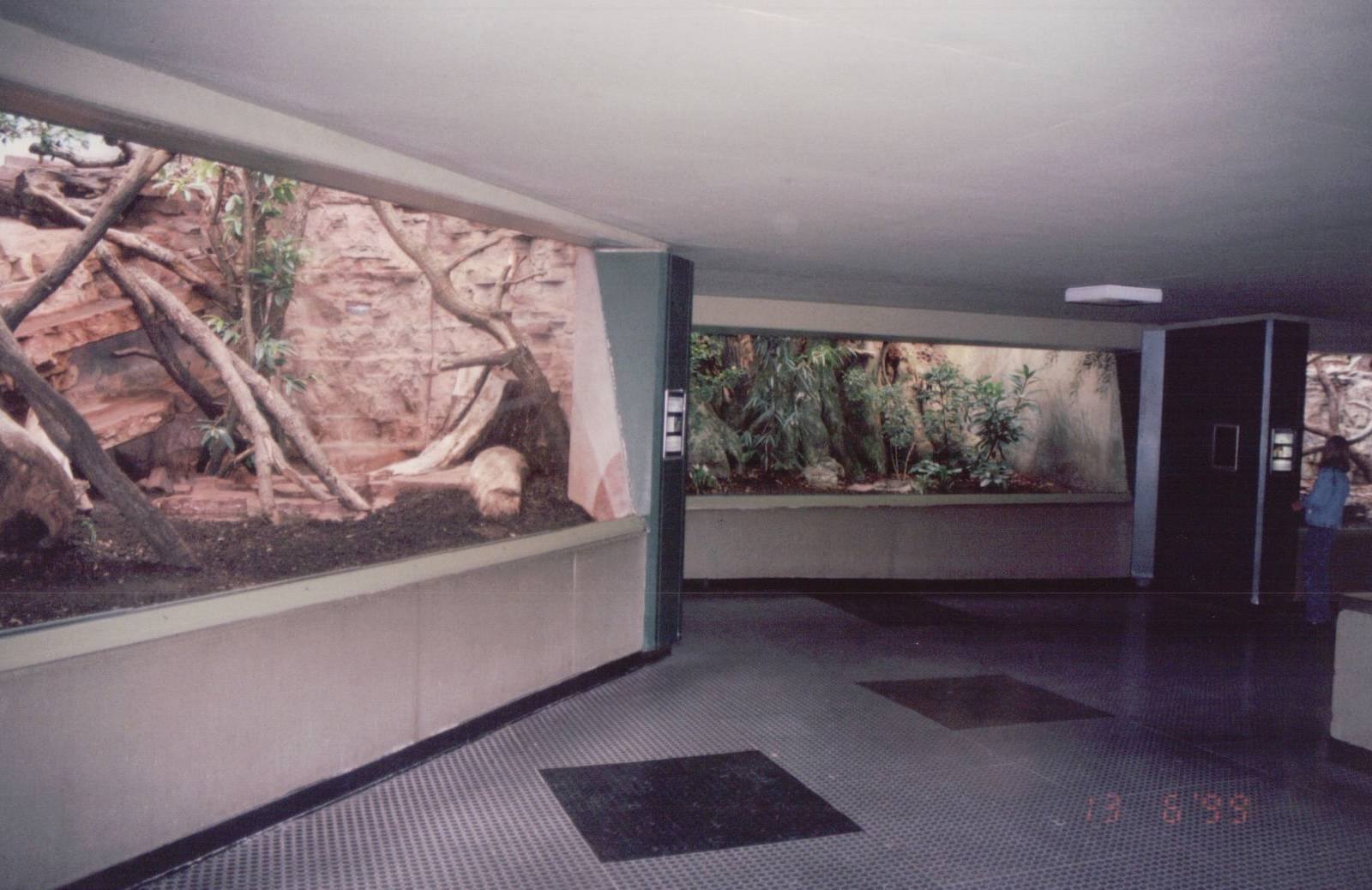 Frankfurt Zoo 1999 - Inside the Grzimek House?