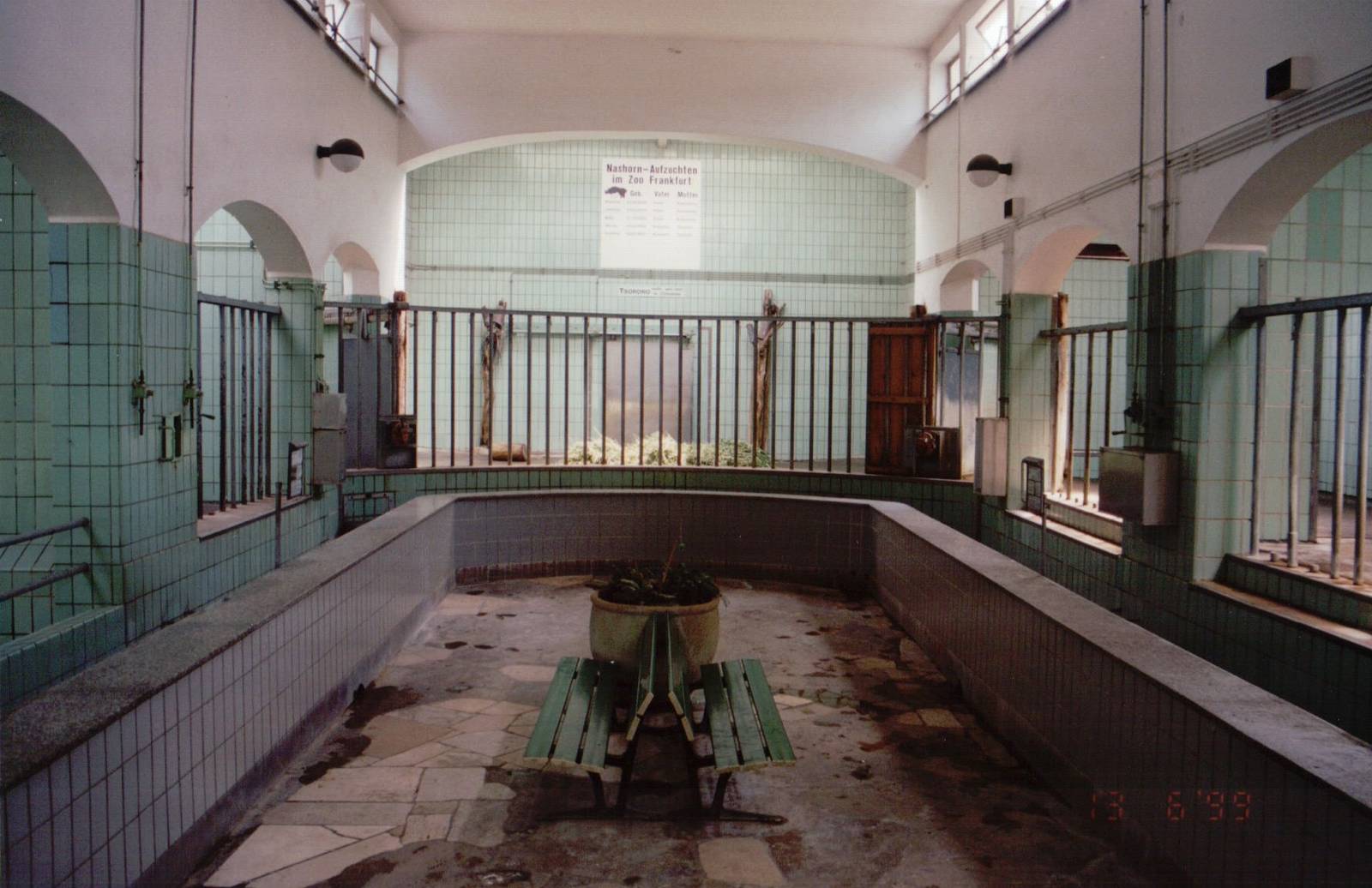 Frankfurt Zoo 1999 - Inside the Pachyderm building