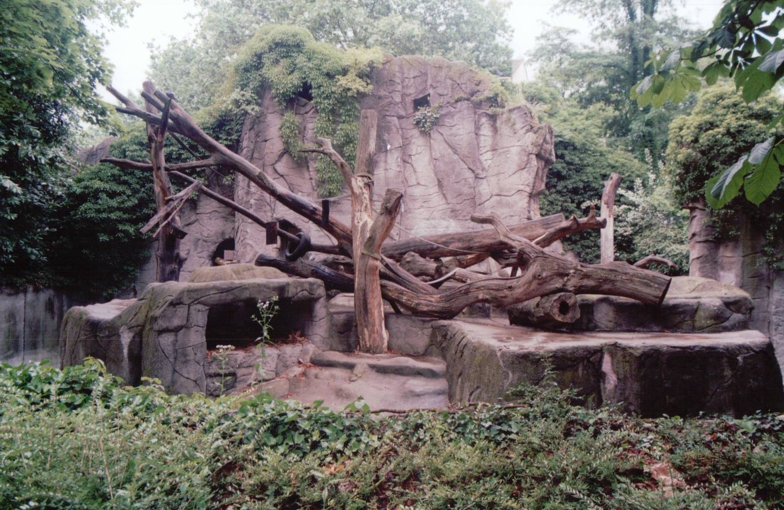 Frankfurt Zoo 1999 - Sloth Bear exhibit
