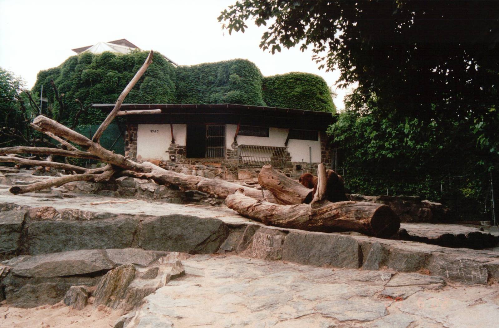 Frankfurt Zoo 2002 - Mishmi Takin exhibit