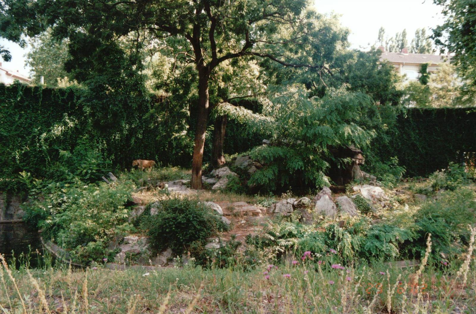 Frankfurt Zoo 2002 - Part of the Asiatic Lion exhibit