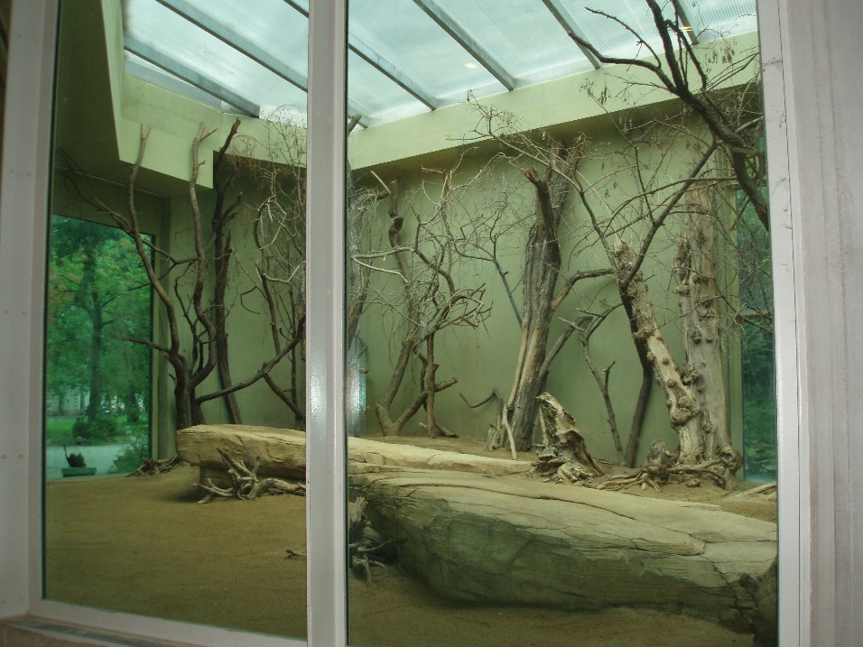 Frankfurt Zoo - Asian lion indoor enclosure