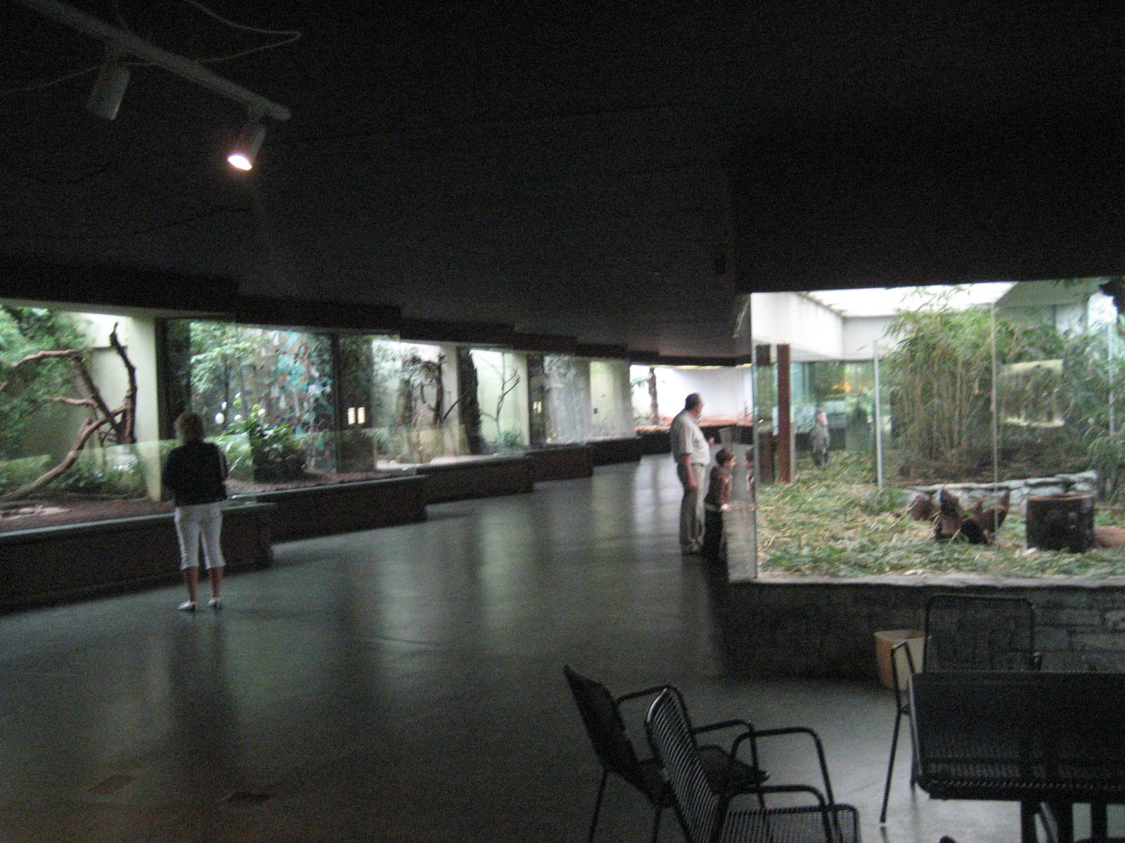 Frankfurt Zoo - Bird house