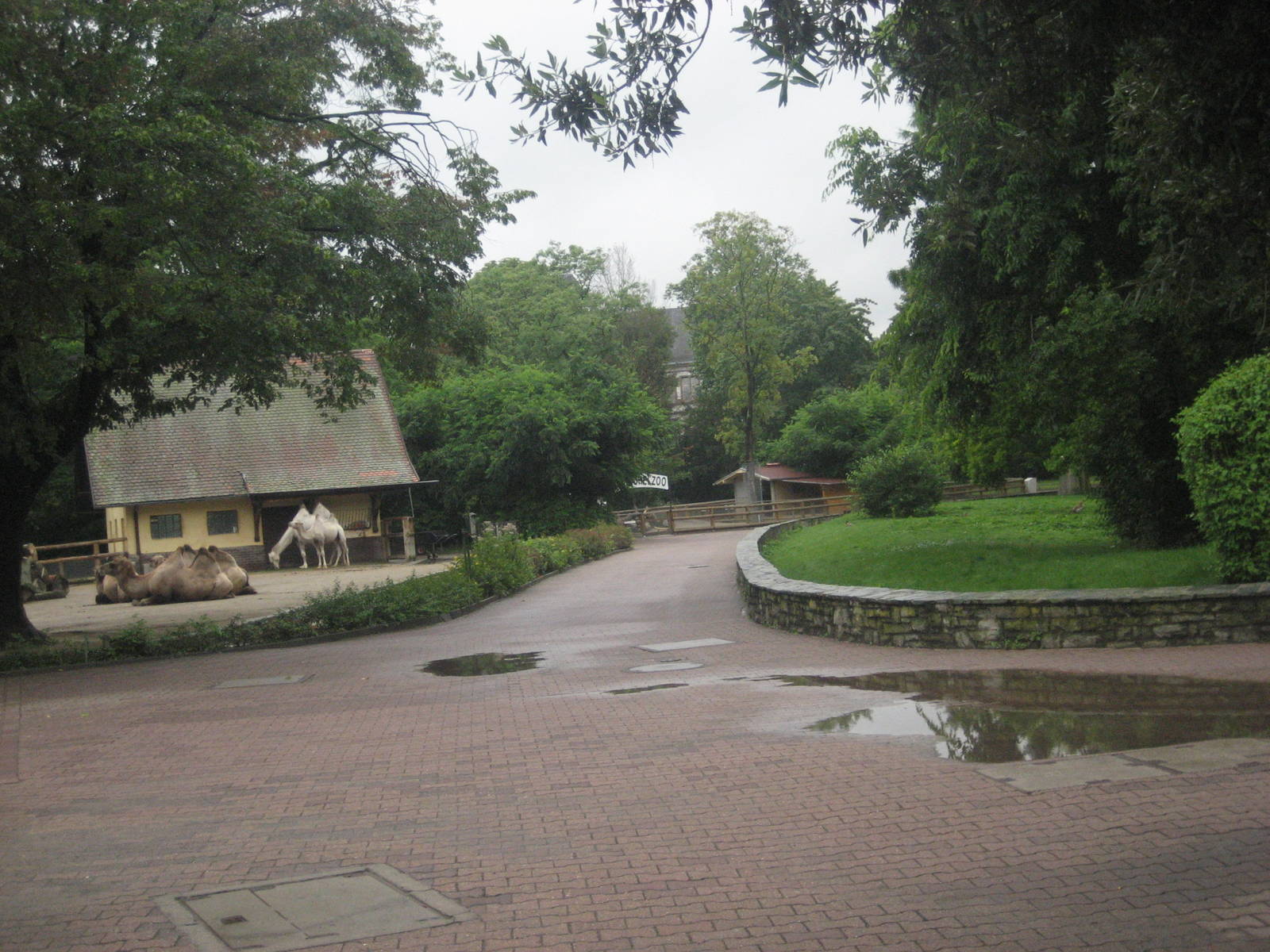 Frankfurt Zoo - Overview