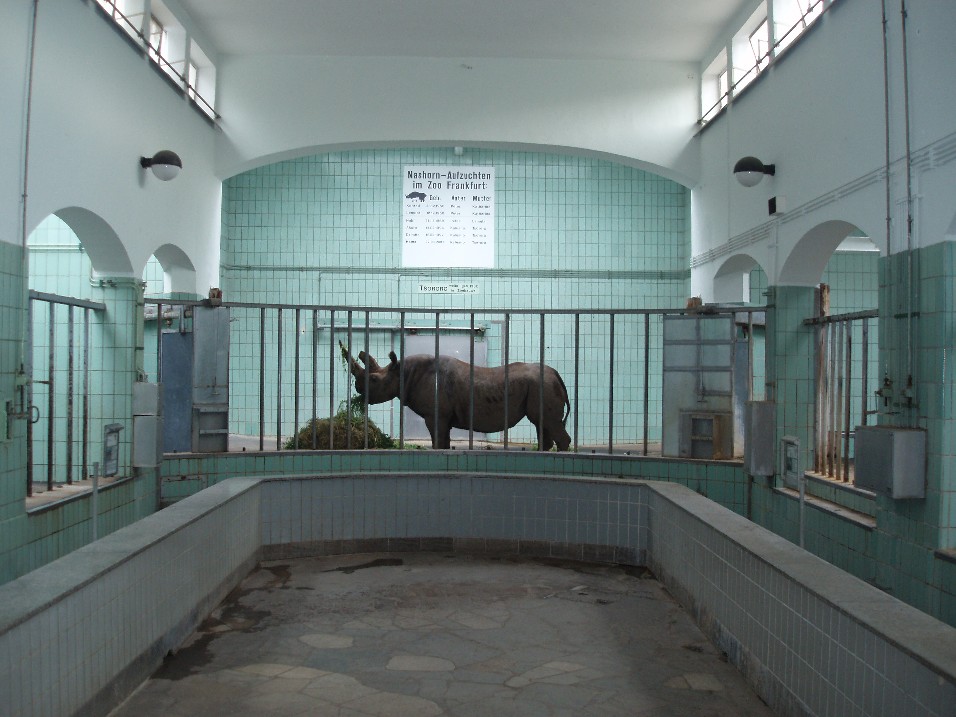 Frankfurt Zoo - Rhino/Hippo house