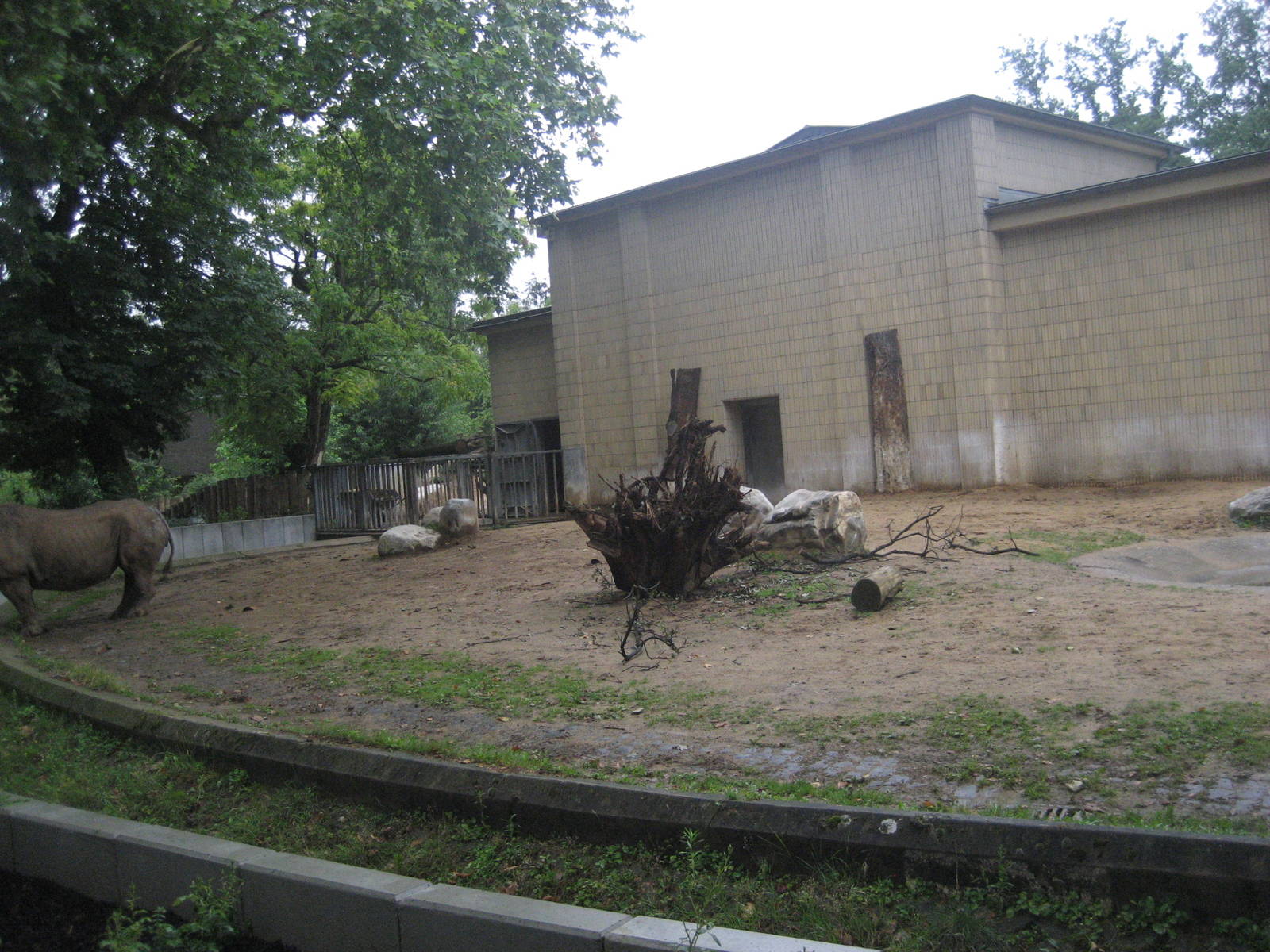 Frankfurt Zoo - Rhino outdoor exhibit