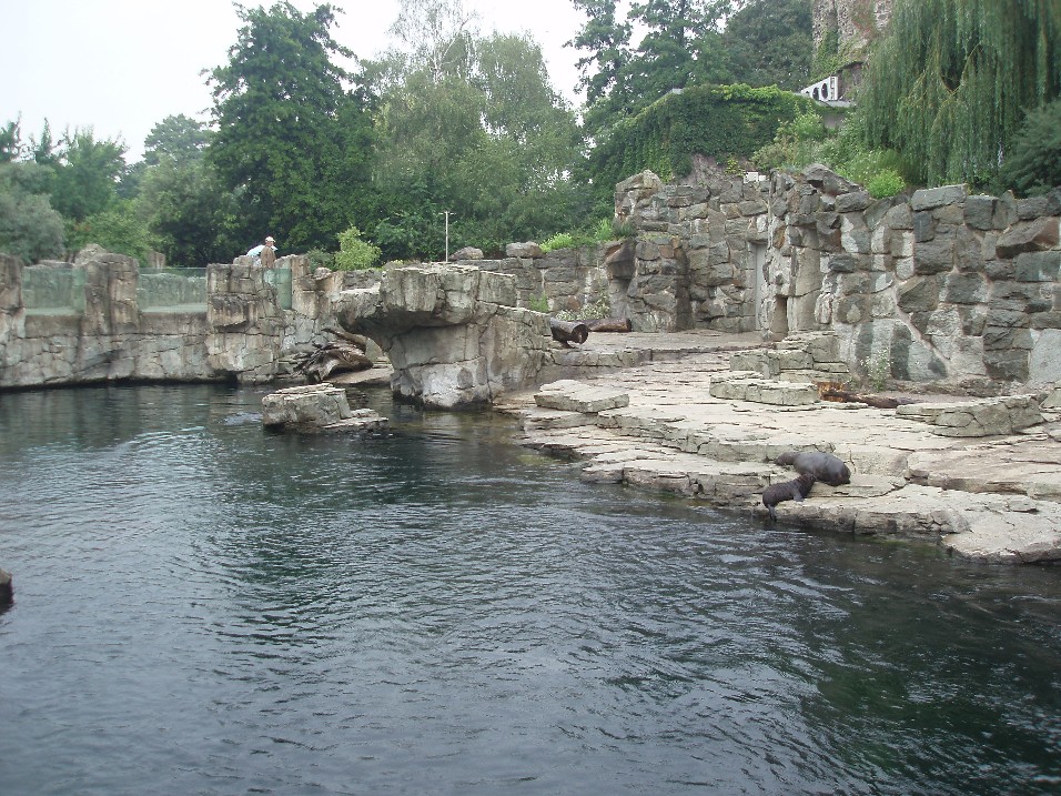 Frankfurt Zoo - Seal Cliffs