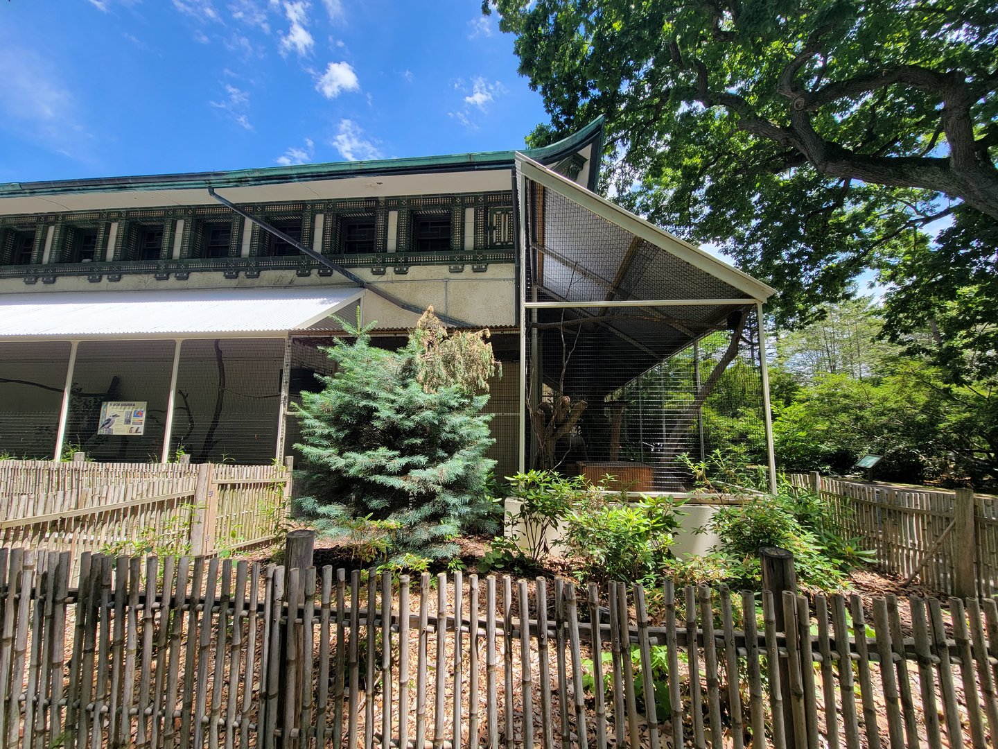 Franklin Park 7/22 - Bird's World outdoors, Kookaburra and Kea