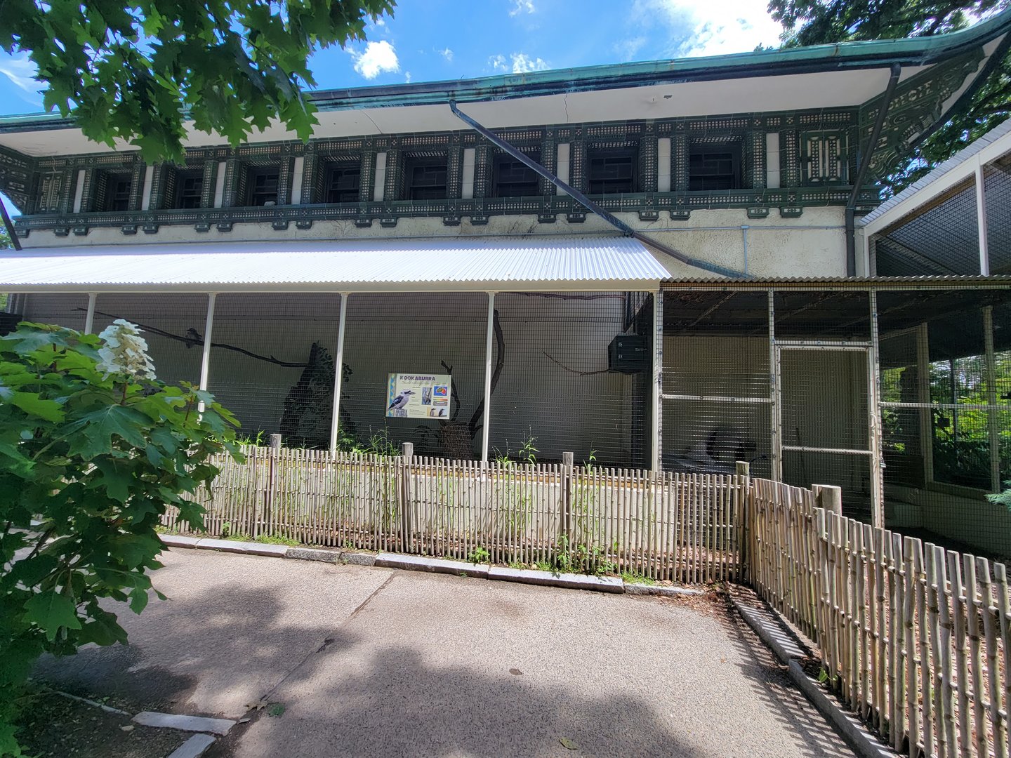 Franklin Park 7/22 - Bird's World outdoors, Laughing Kookaburra
