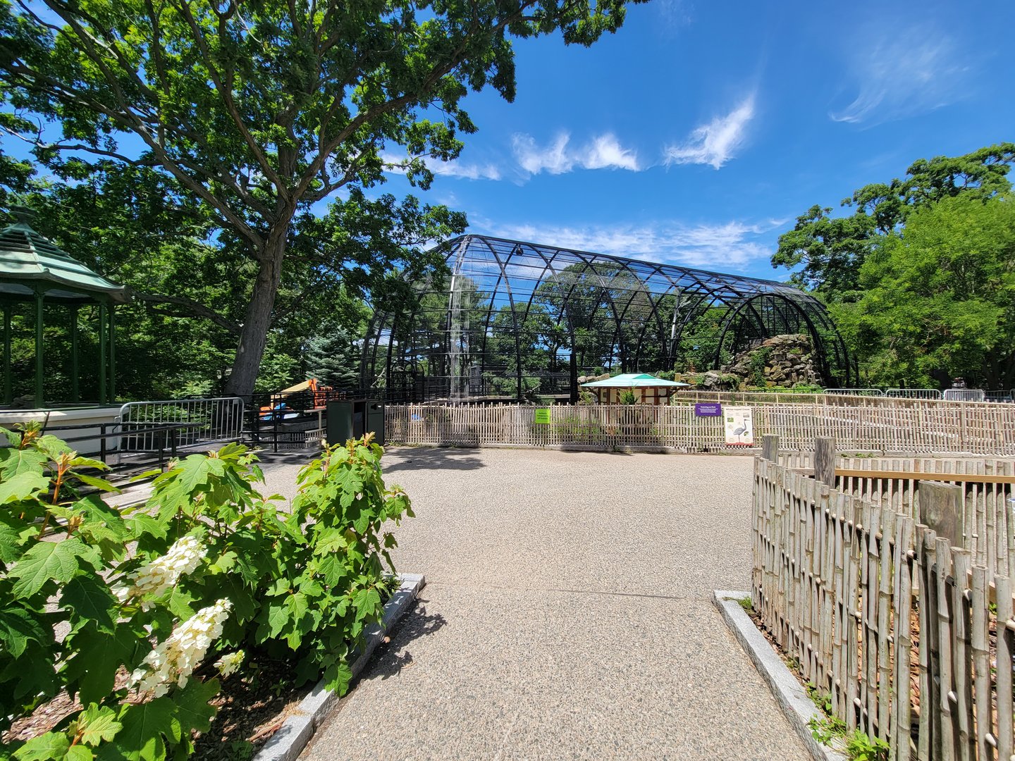 Franklin Park 7/22 - Bird's World outdoors, Raptor Ridge