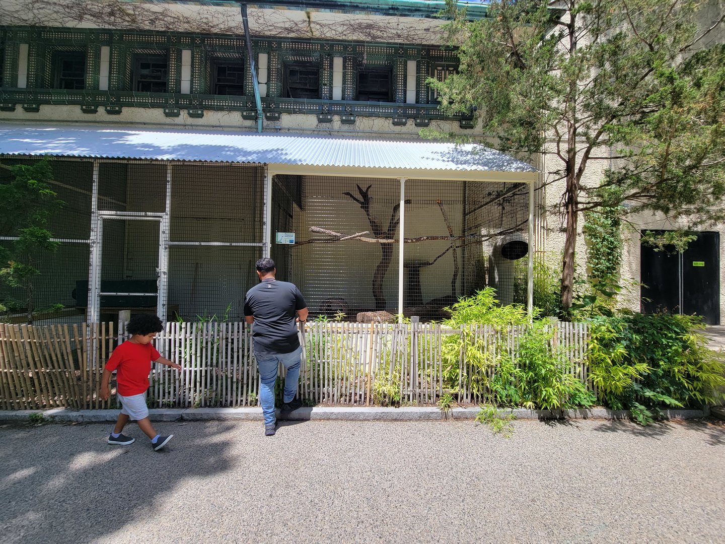 Franklin Park 7/22 - Bird's World outdoors, Umbrella Cockatoo