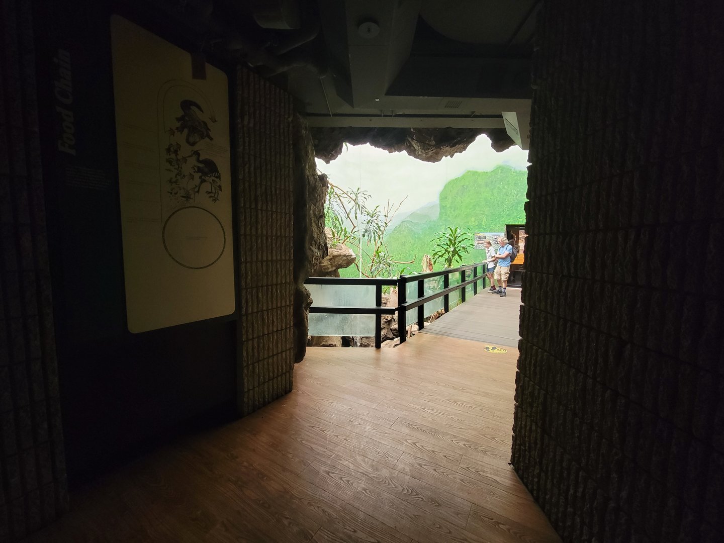 Franklin Park 7/22 - Bird's World Rainforest