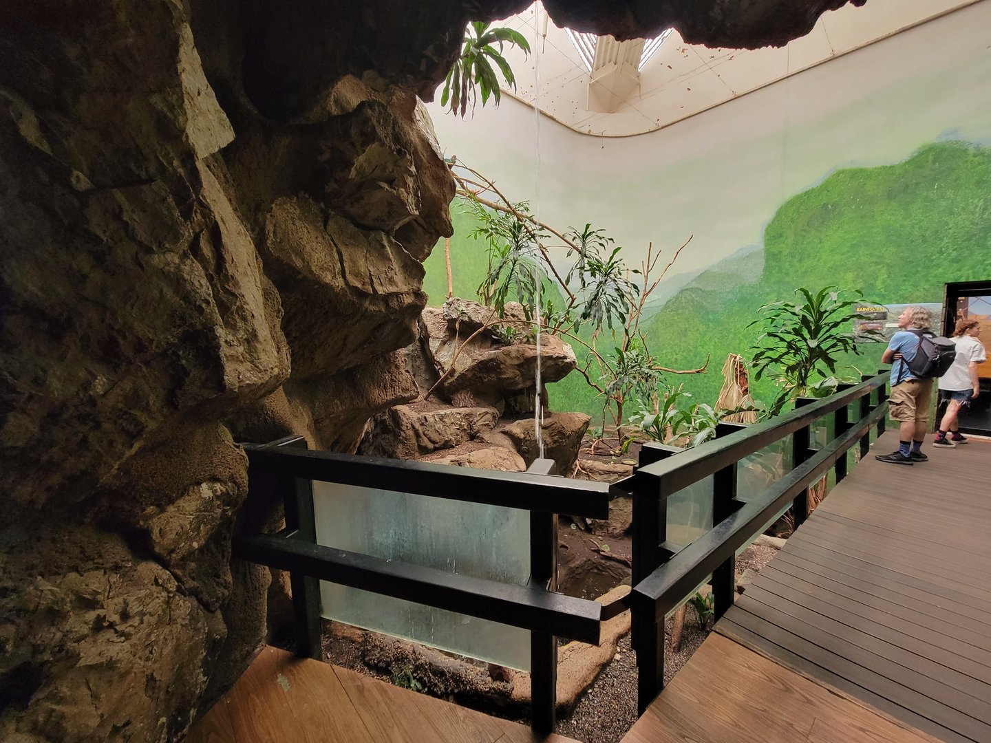 Franklin Park 7/22 - Bird's World Rainforest