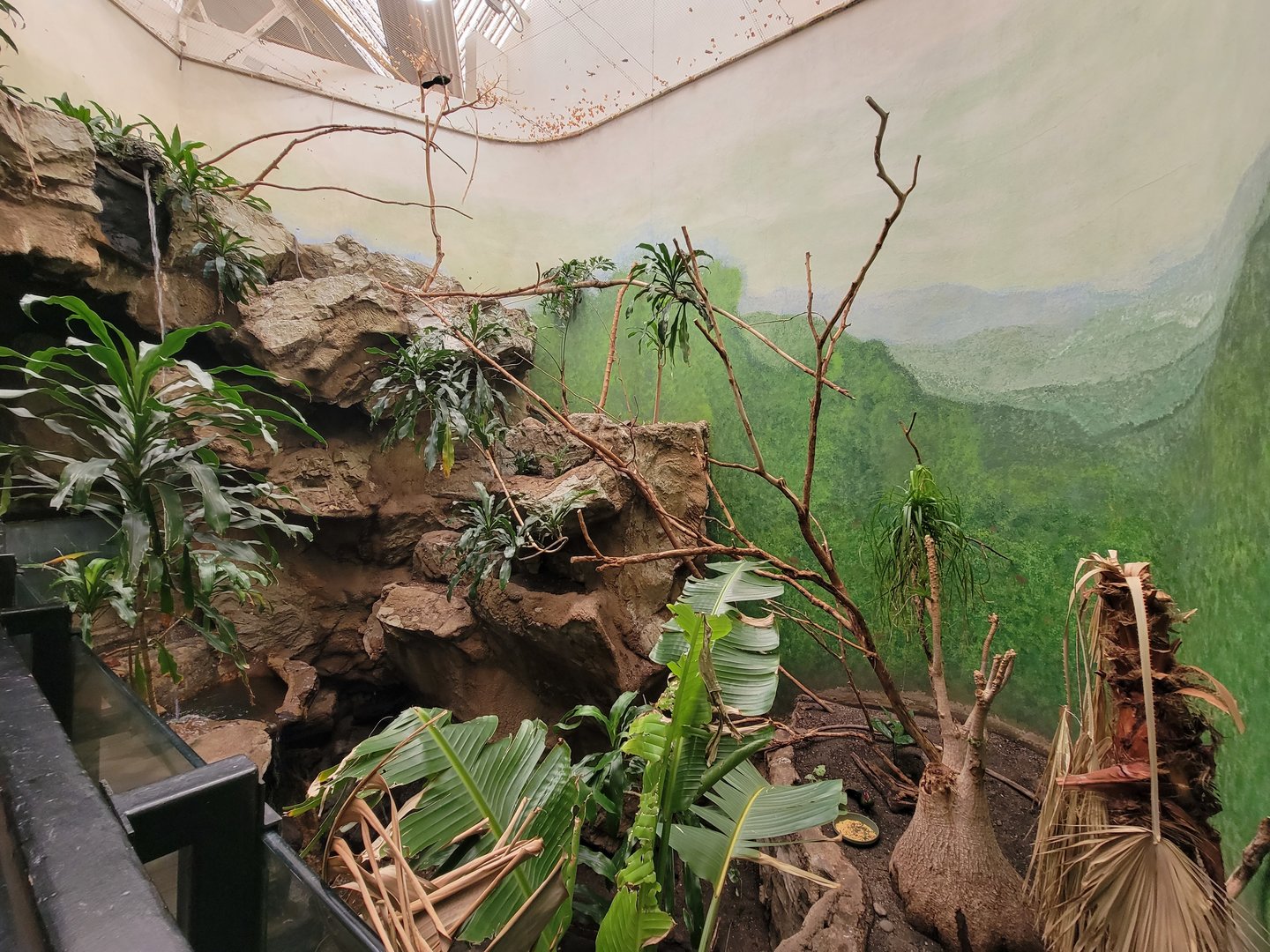 Franklin Park 7/22 - Bird's World Rainforest