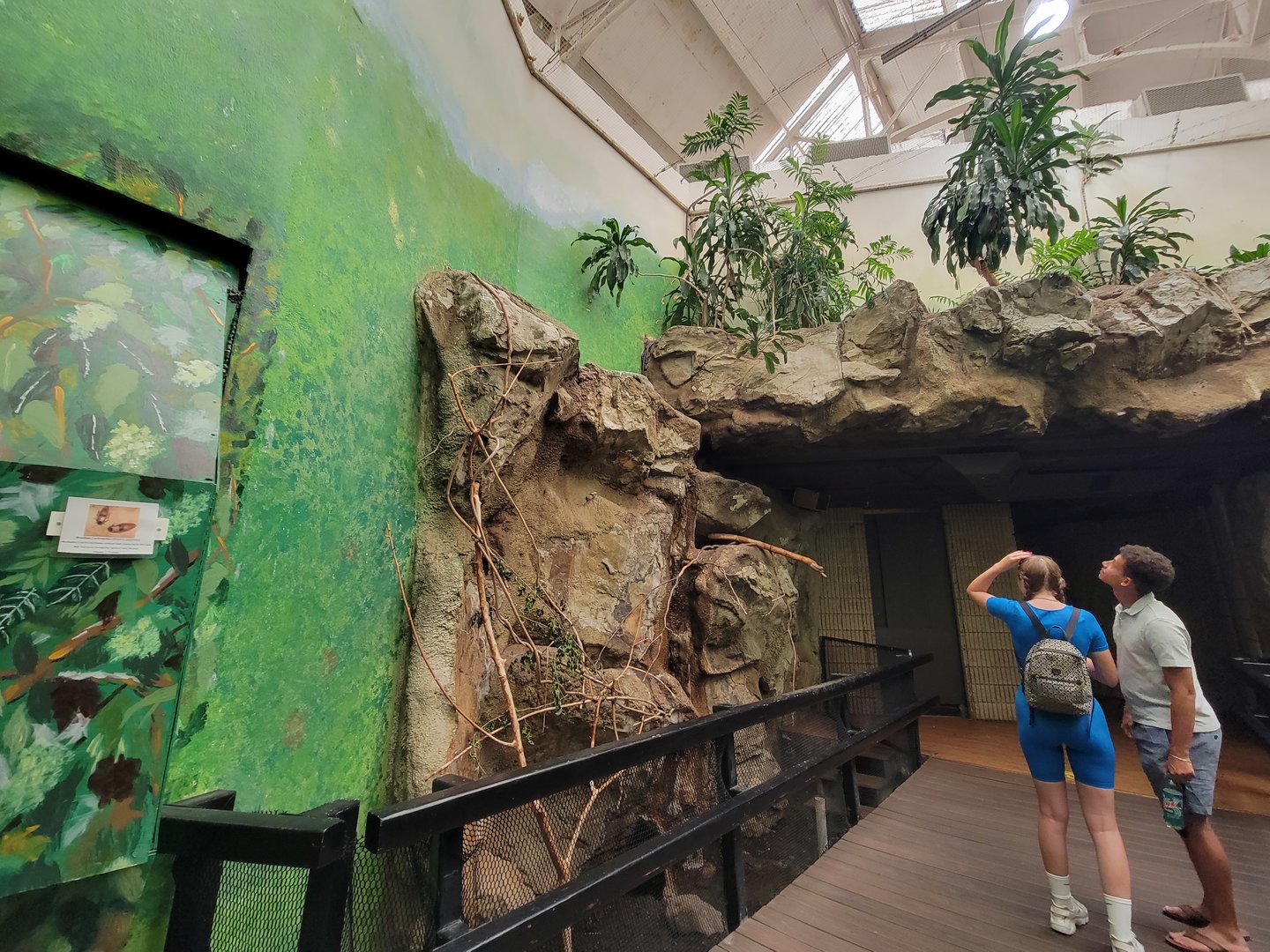 Franklin Park 7/22 - Bird's World Rainforest