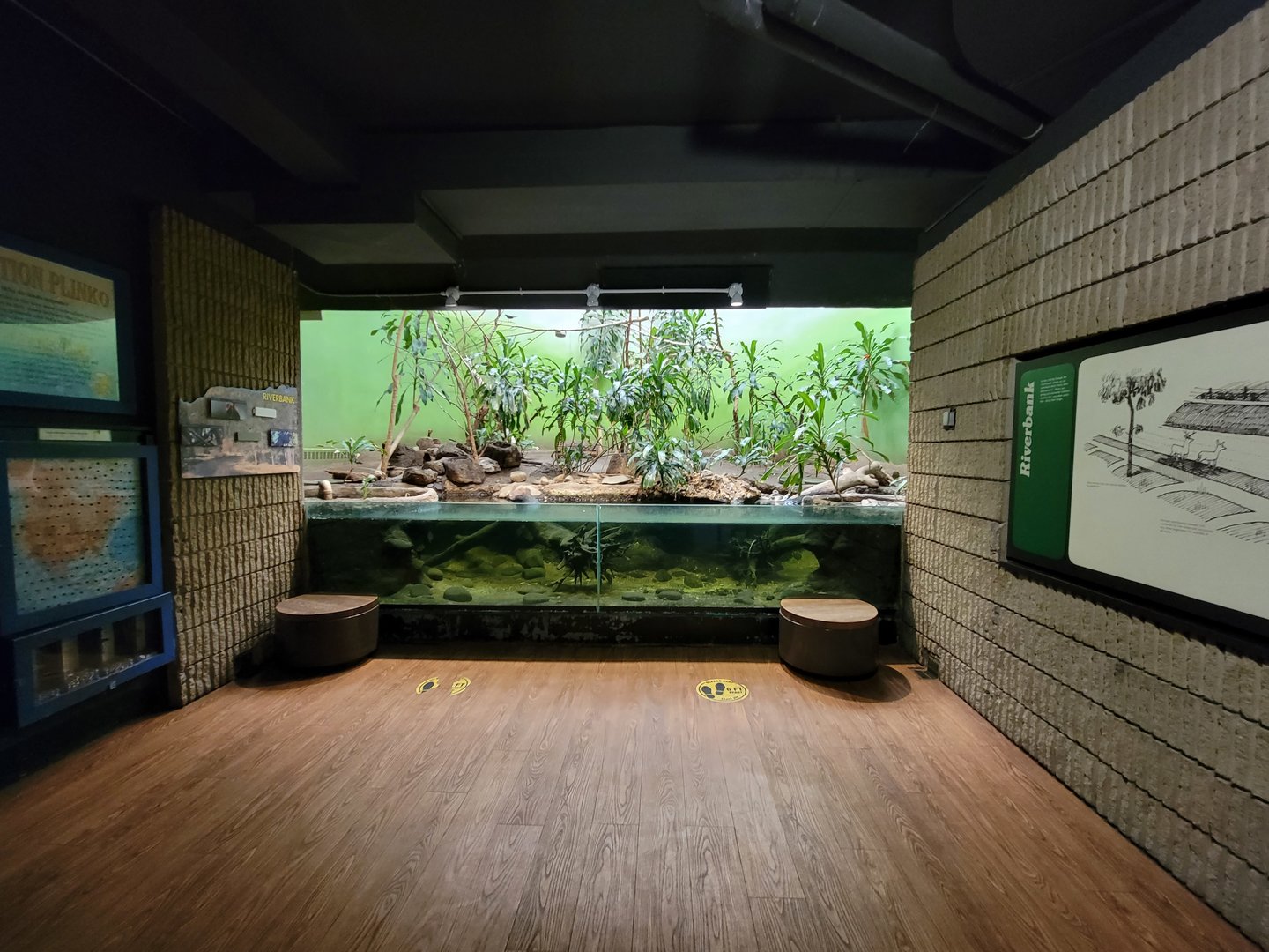 Franklin Park 7/22 - Bird's World Riverbank