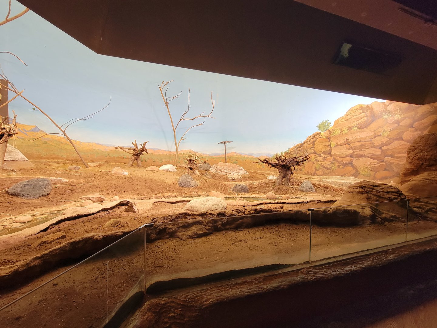 Franklin Park 7/22 - Bird's World Scrubland