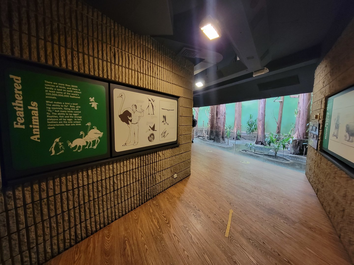 Franklin Park 7/22 - Bird's World, Swamp exhibit