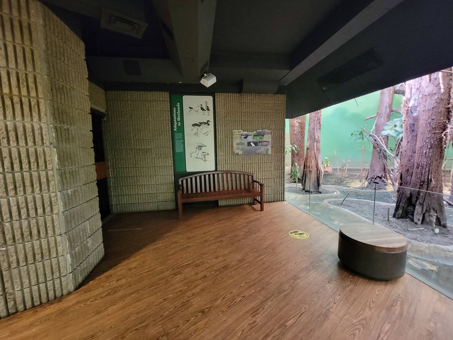 Franklin Park 7/22 - Bird's World Swamp exhibit