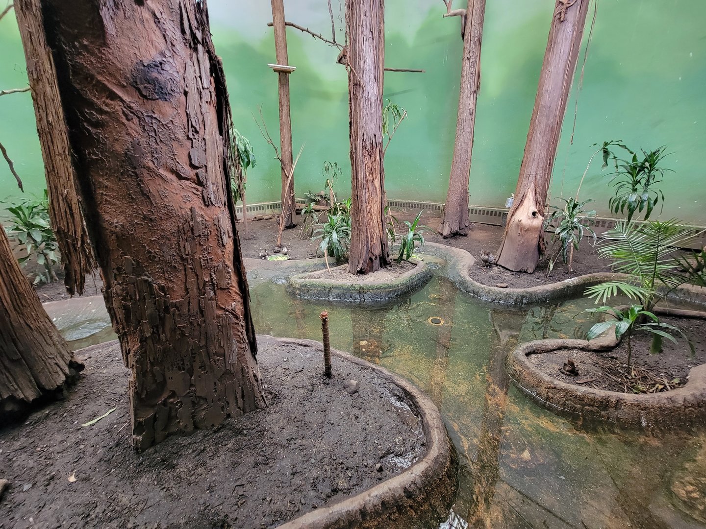 Franklin Park 7/22 - Bird's World Swamp exhibit