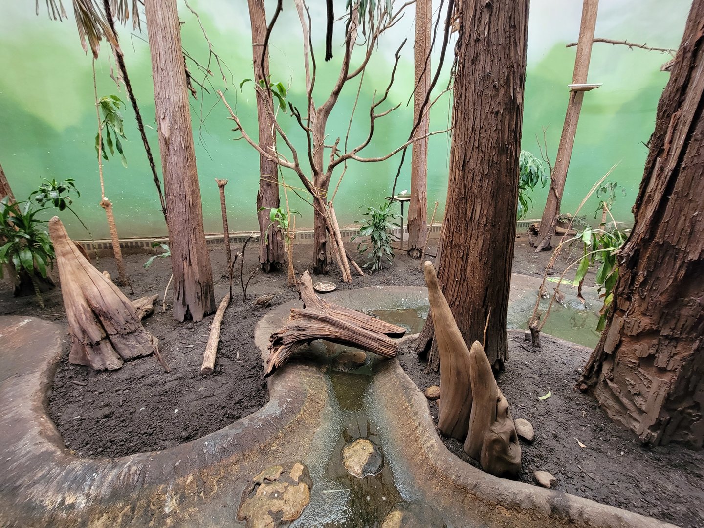 Franklin Park 7/22 - Bird's World Swamp exhibit