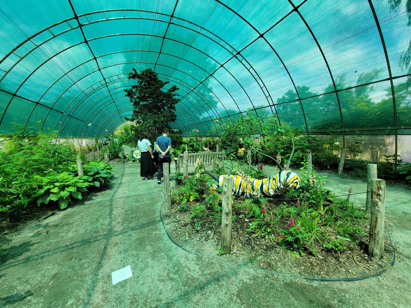 Franklin Park 7/22 - Butterfly Hollow