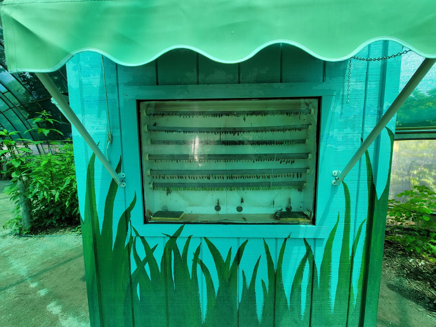 Franklin Park 7/22 - Butterfly Hollow