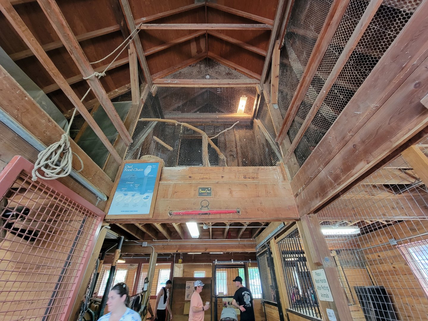 Franklin Park 7/22 - Franklin Farm Barn owl