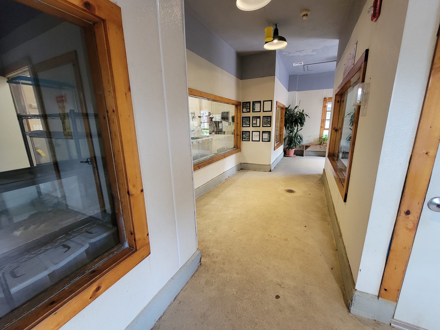 Franklin Park 7/22 - Franklin Farm Brooder Barn