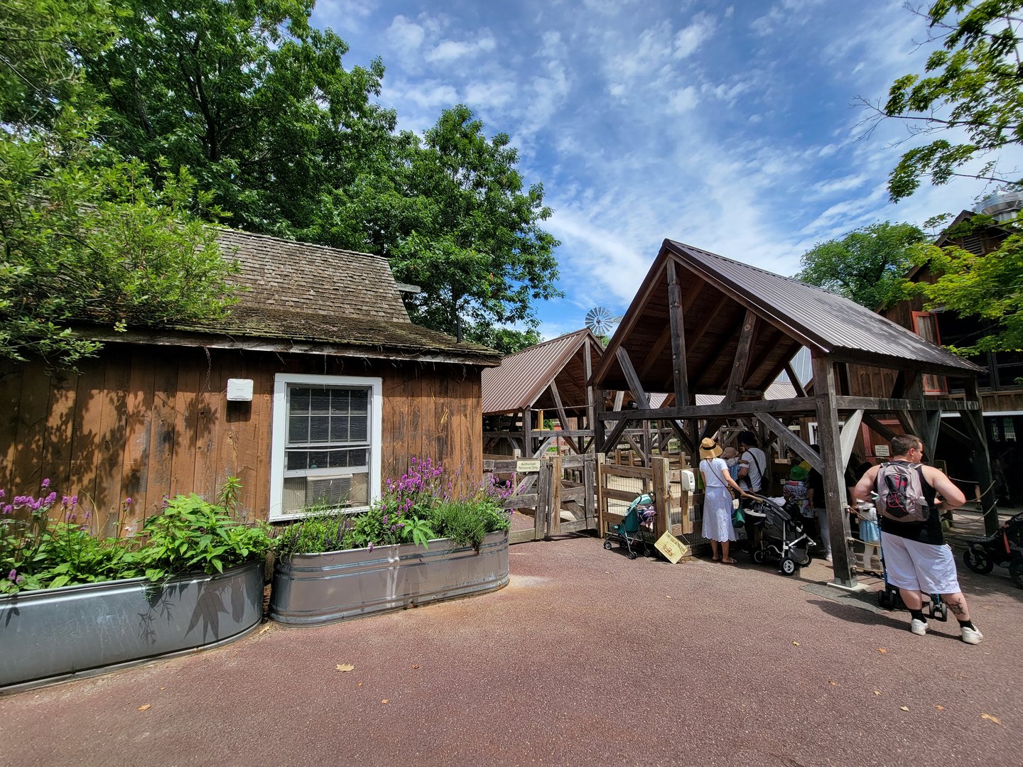 Franklin Park 7/22 - Franklin Farm goat contact yard