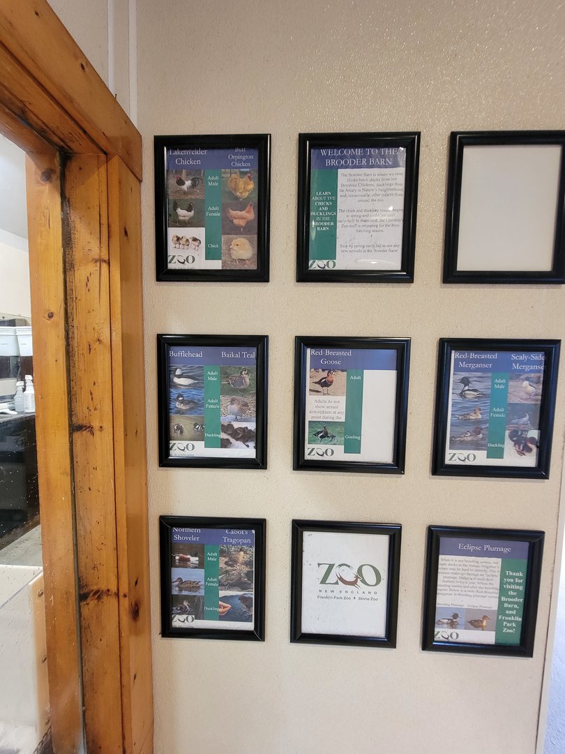 Franklin Park 7/22 - Franklin Farm, species they raise