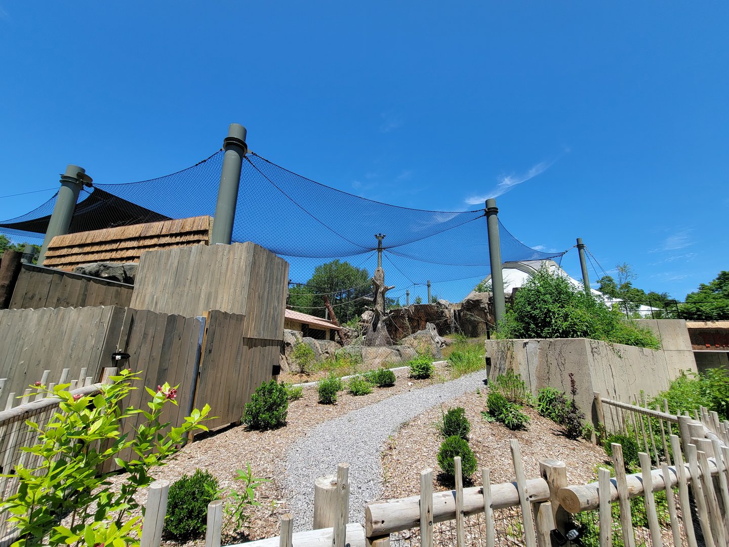 Franklin Park 7/22 - Gorilla Grove outdoors, upper area