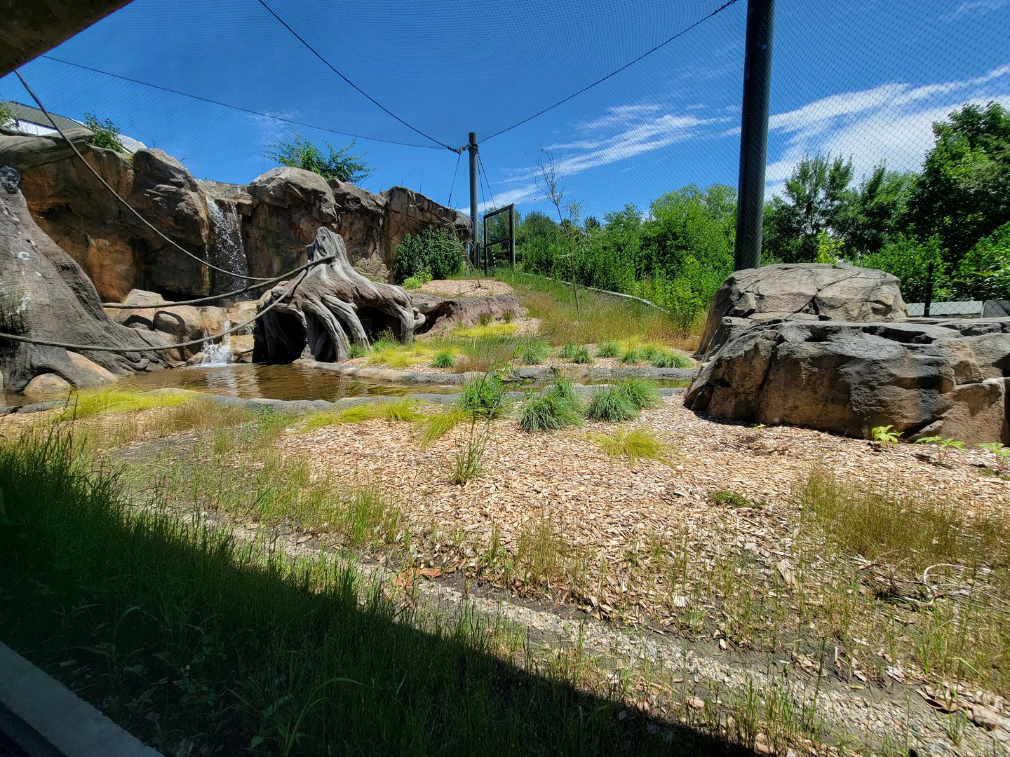 Franklin Park 7/22 - Gorilla Grove outdoors