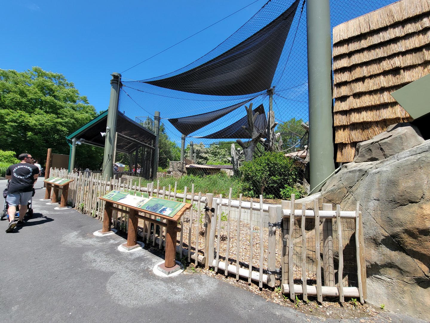 Franklin Park 7/22 - Gorilla Grove outdoors