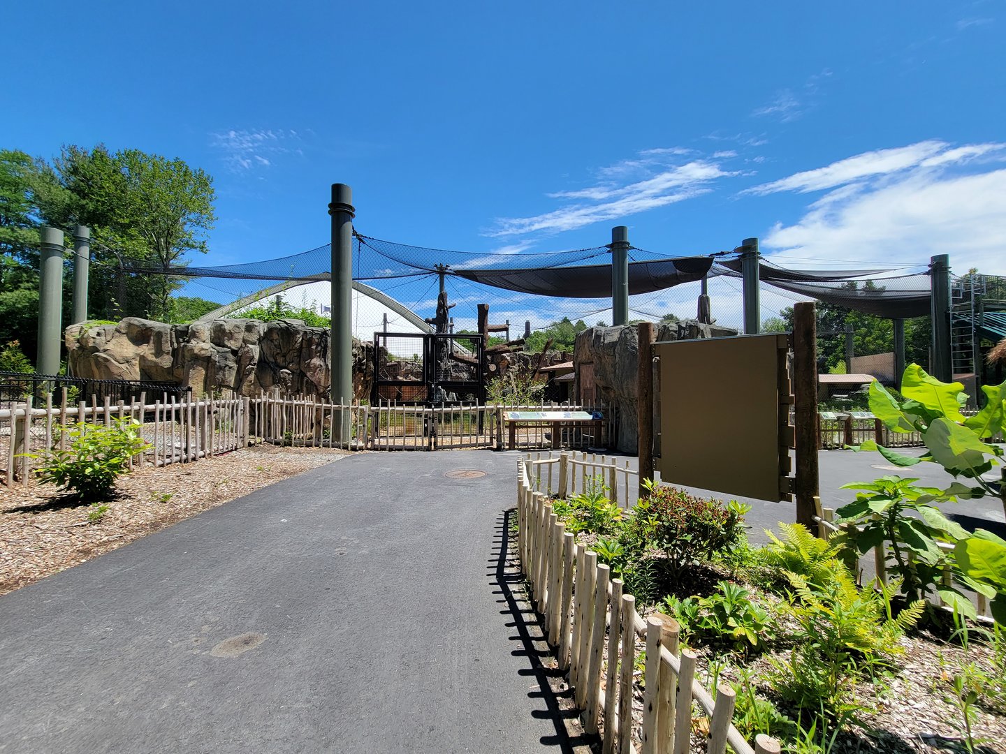 Franklin Park 7/22 - Gorilla Grove