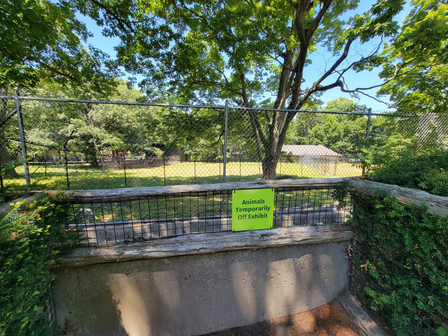 Franklin Park 7/22 - Kalahari Kingdom, kori bustard, off exhibit due to flu