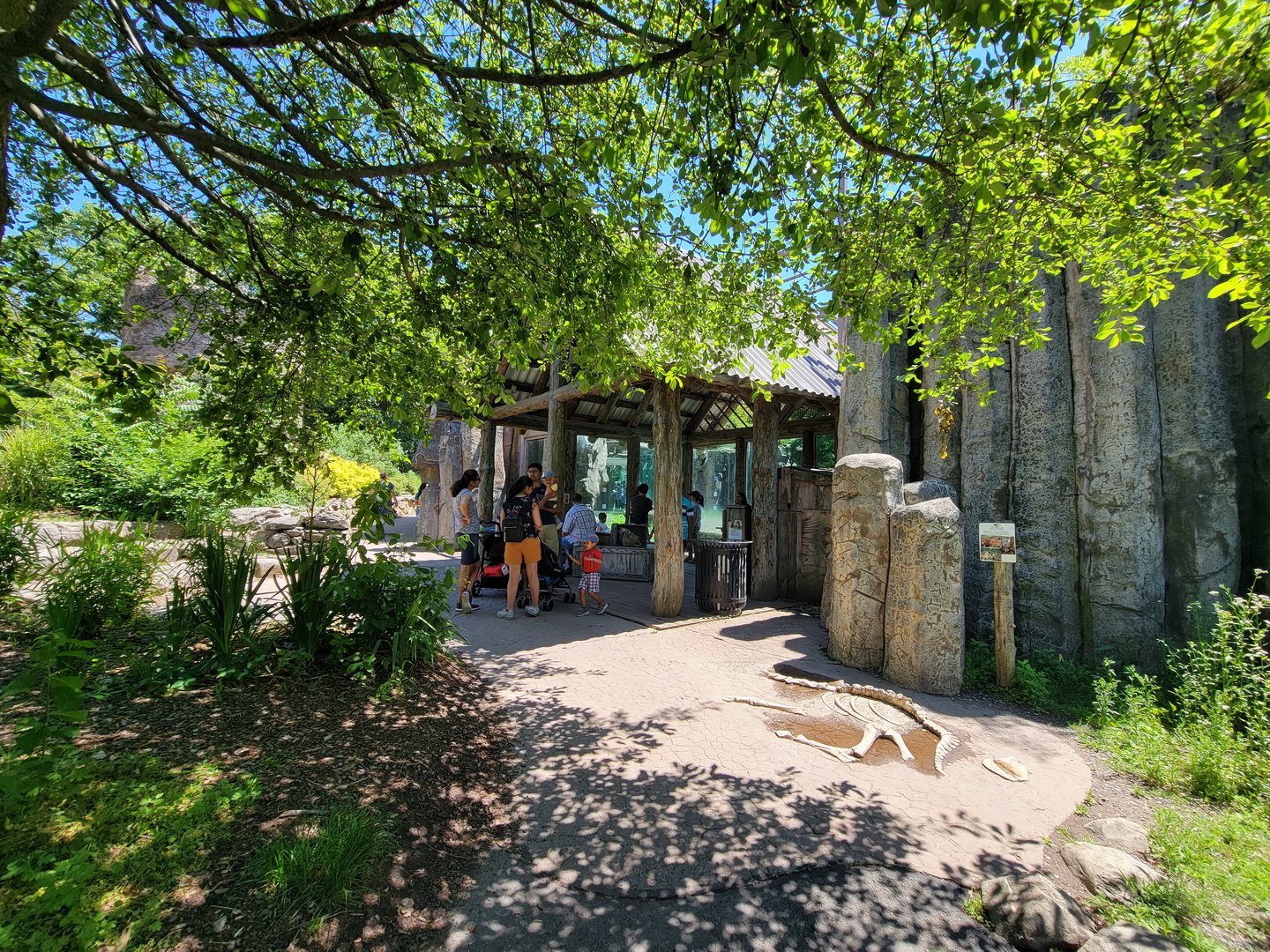Franklin Park 7/22 - Kalahari Kingdom, lion viewing window